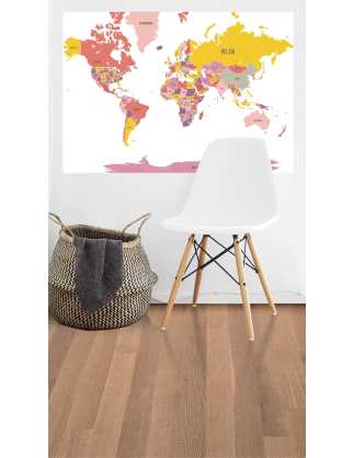 Teen decoration worldmap