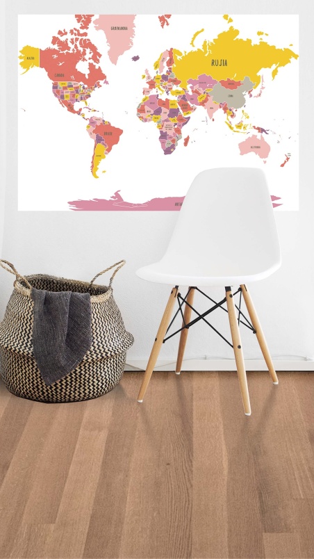 Teen decoration worldmap