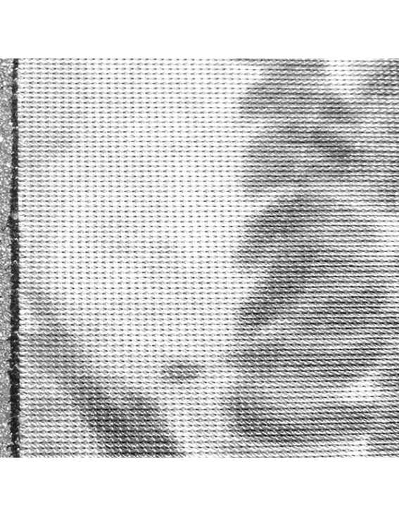 Christmas tree Canvas