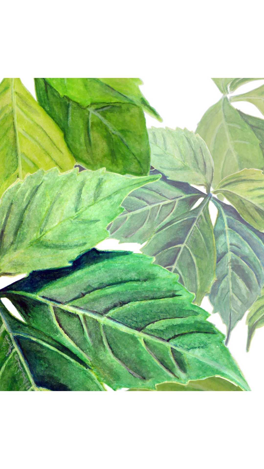 crear oasis urbano rapido