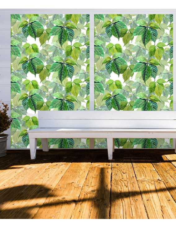 crear oasis urbano rapido