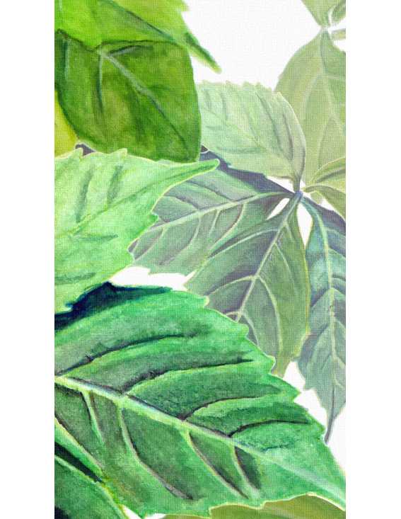 hojas verdes papel pintado