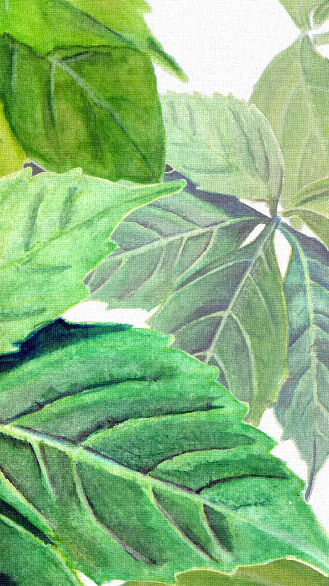 hojas verdes papel pintado