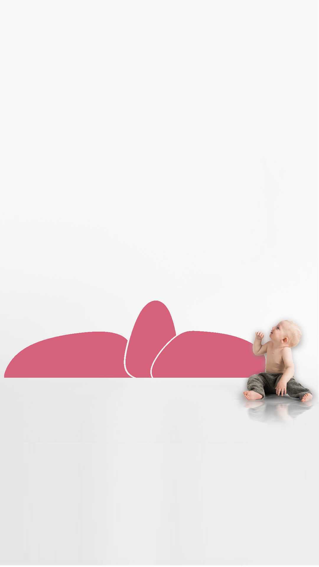 montessori wall protector