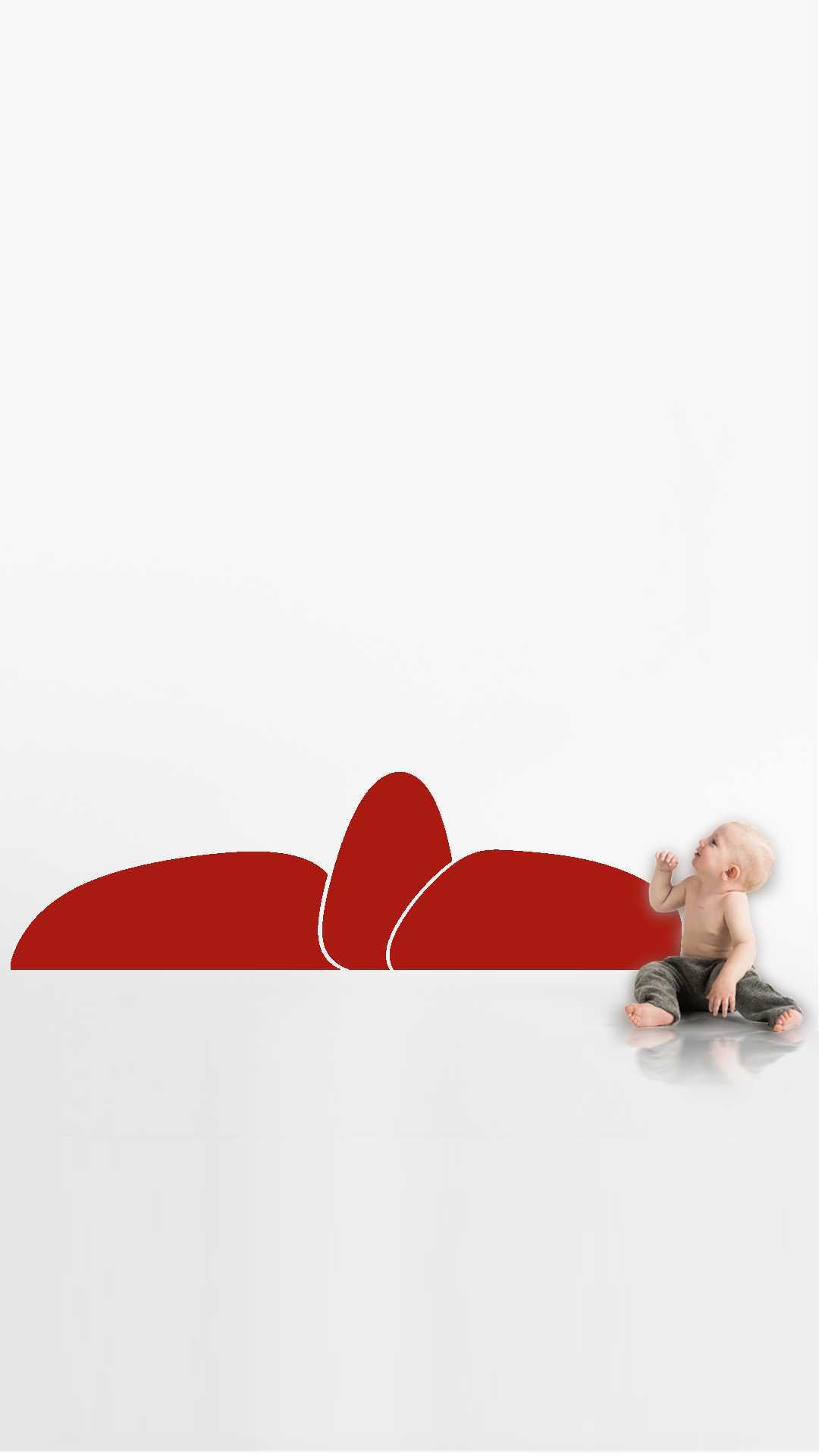 montessori wall protector