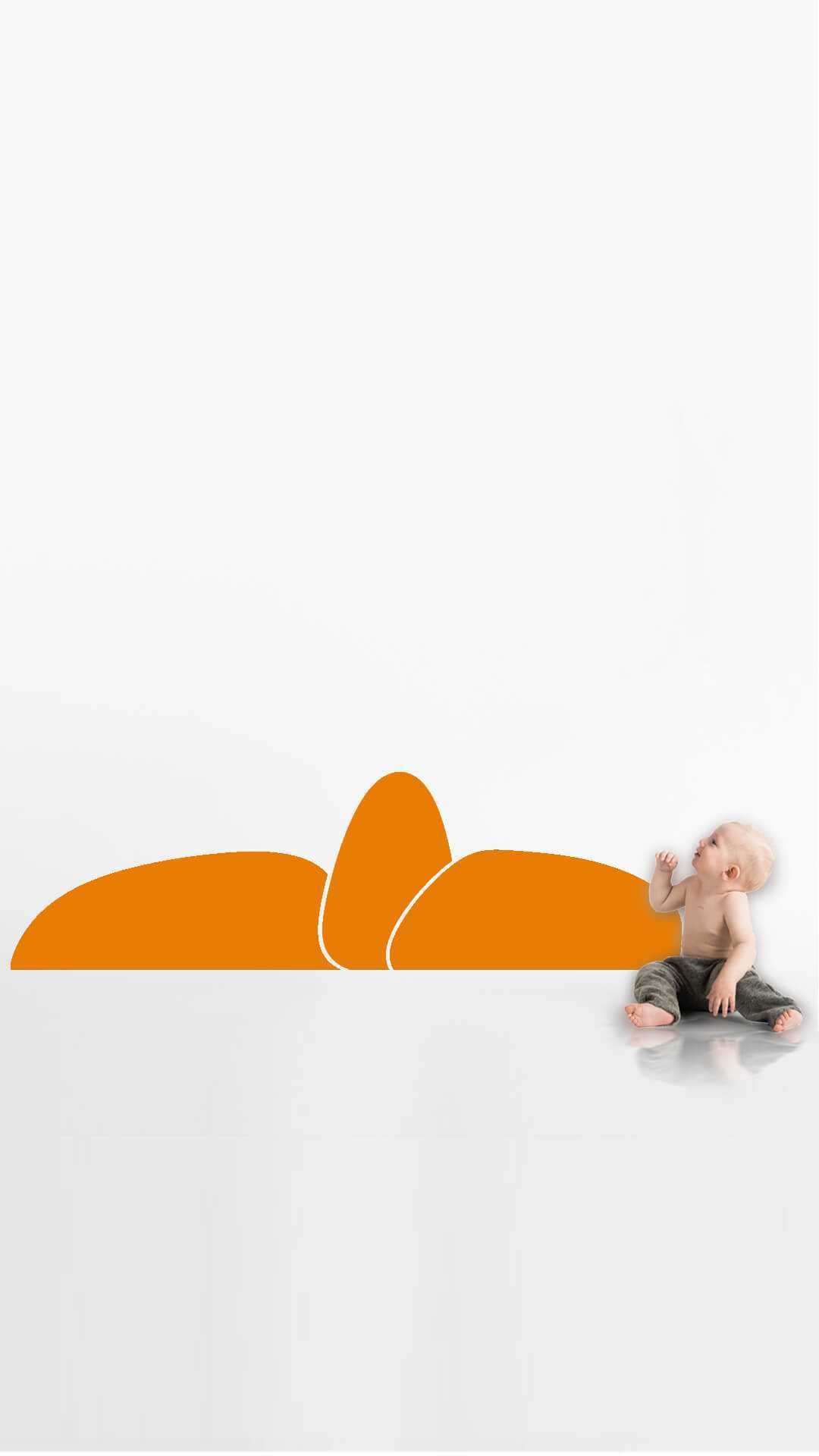 montessori wall protector