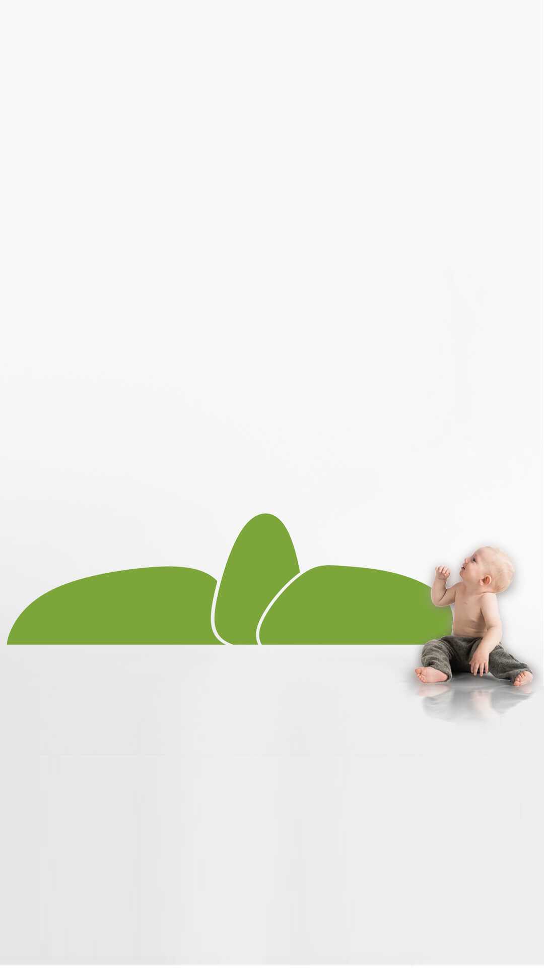 montessori wall protector