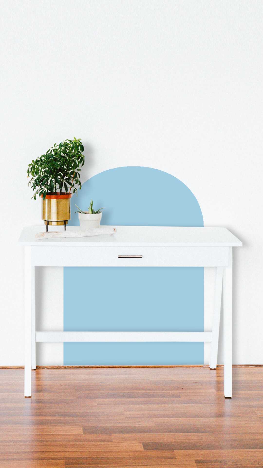 wall  desk protector