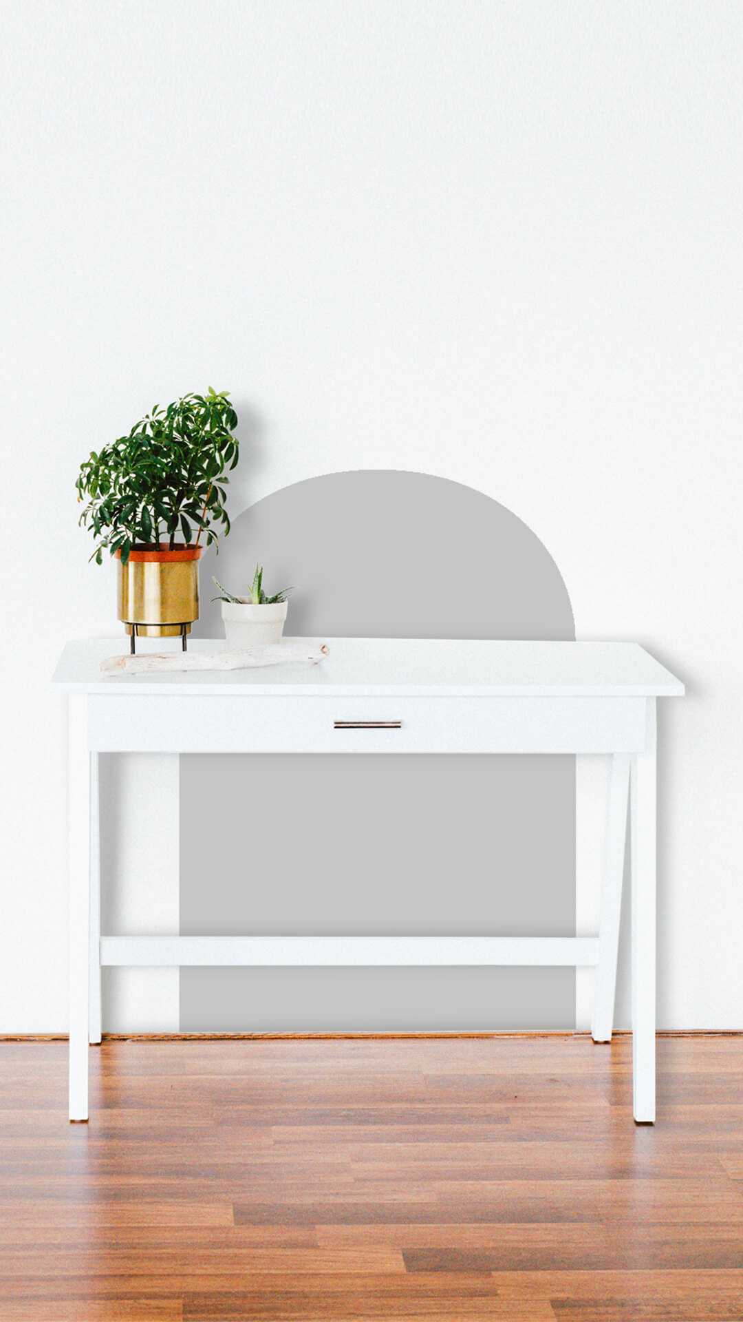 wall  desk protector