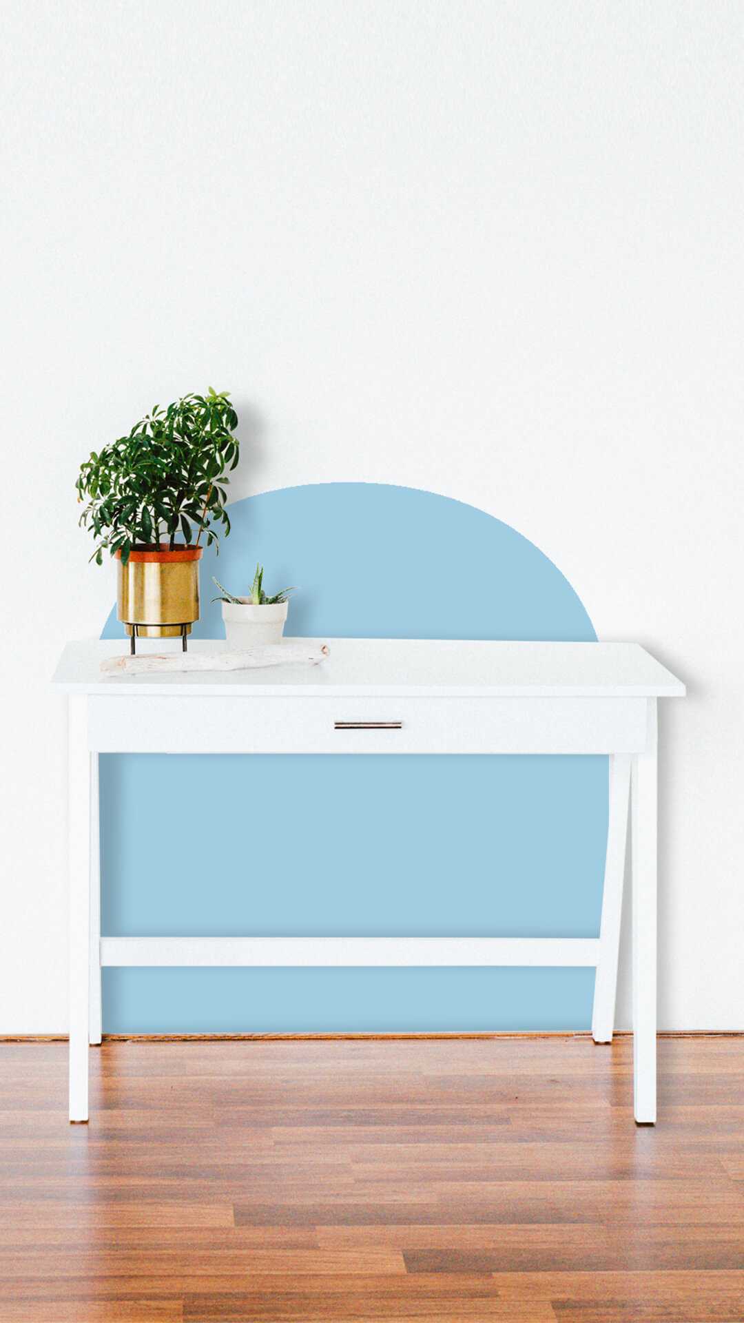 wall  desk protector