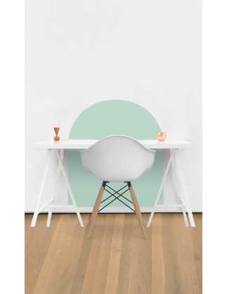 wall  desk protector 2