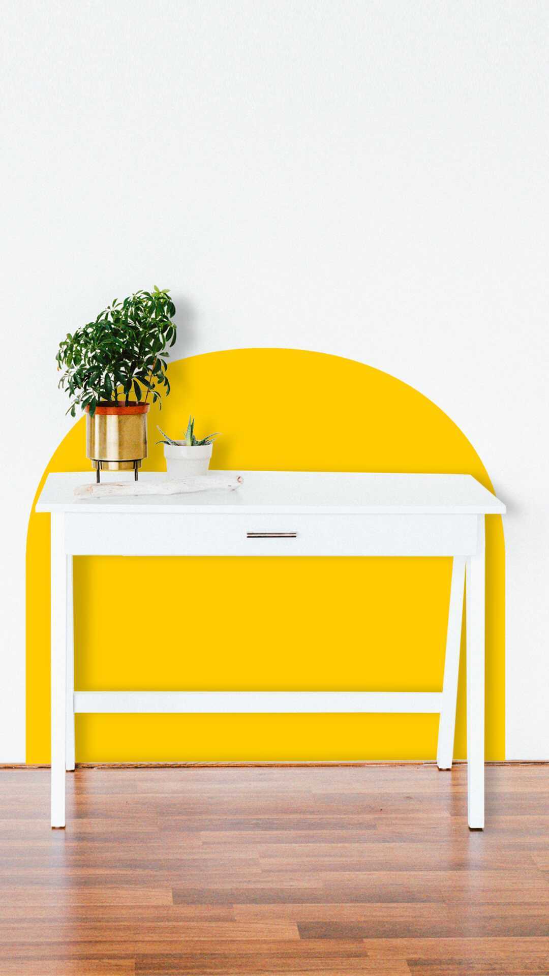 wall  desk protector