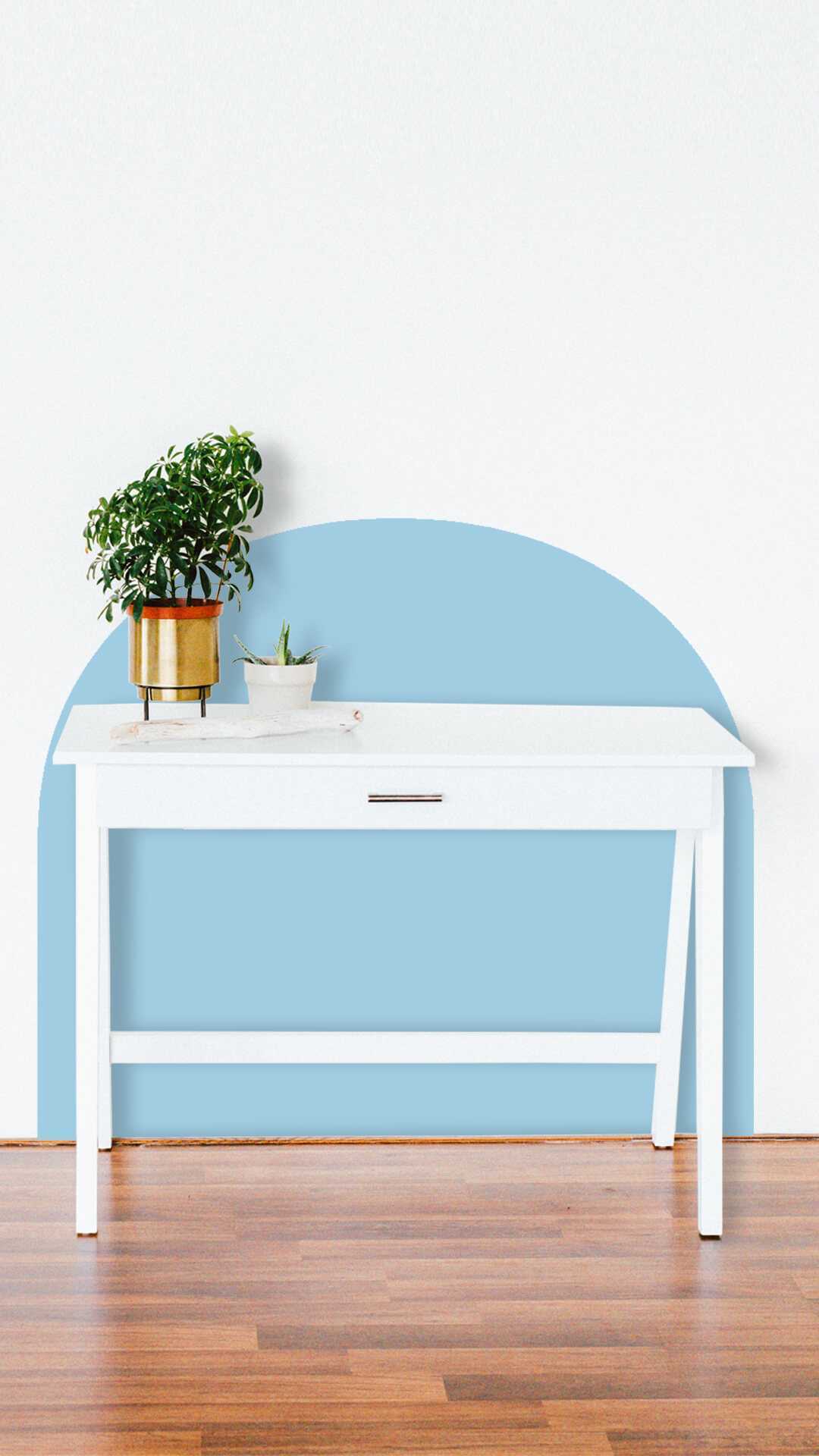 wall  desk protector