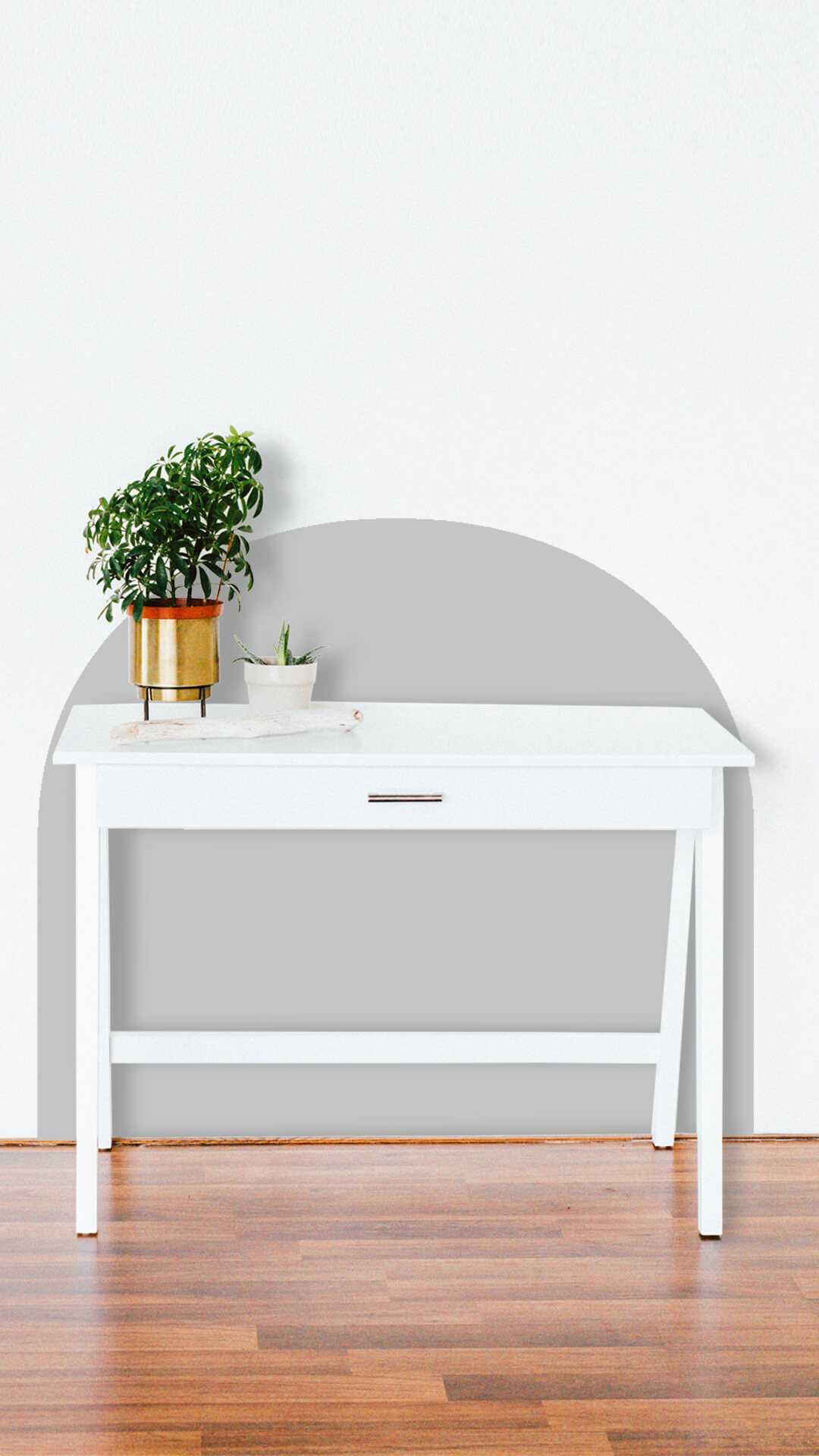 wall  desk protector