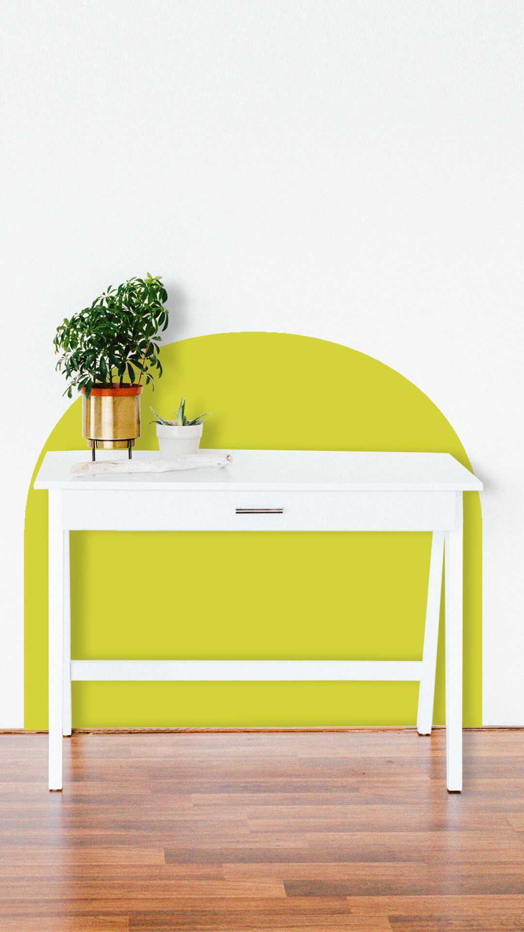 wall  desk protector