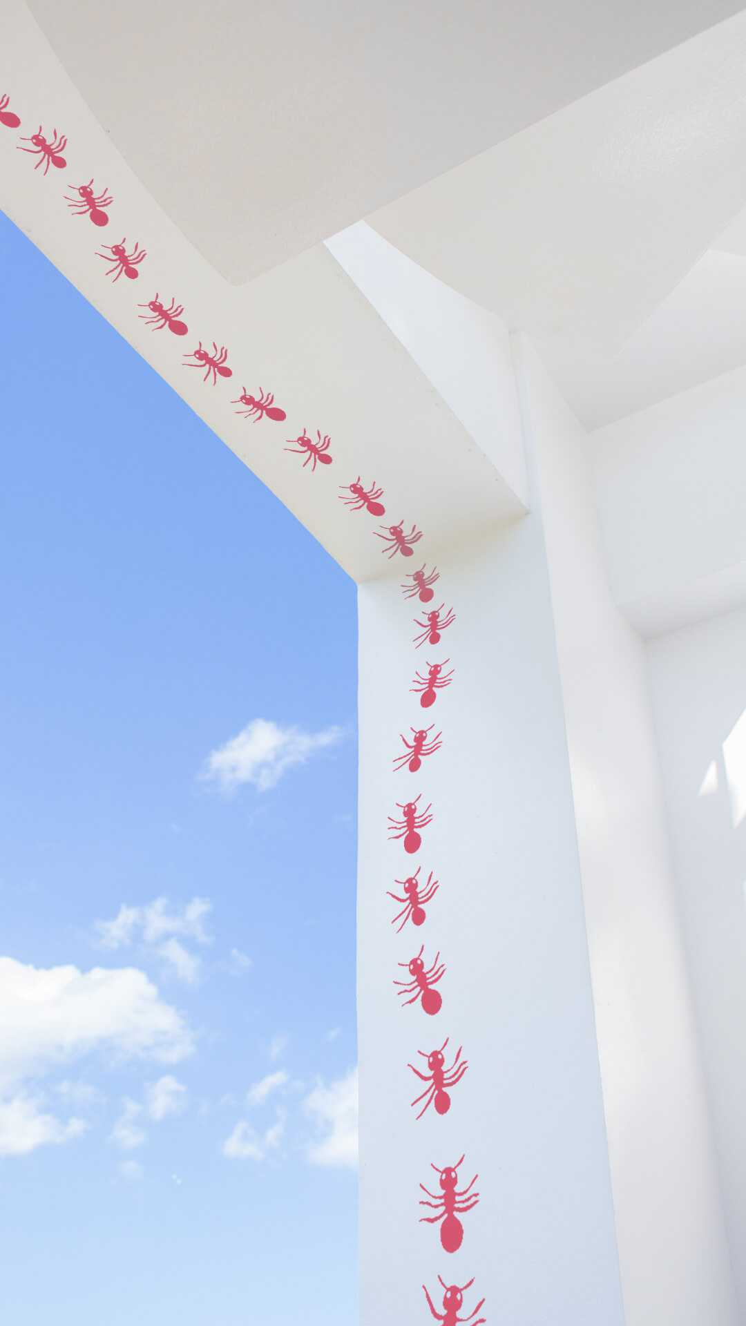 hormigas decorativas para tu pared