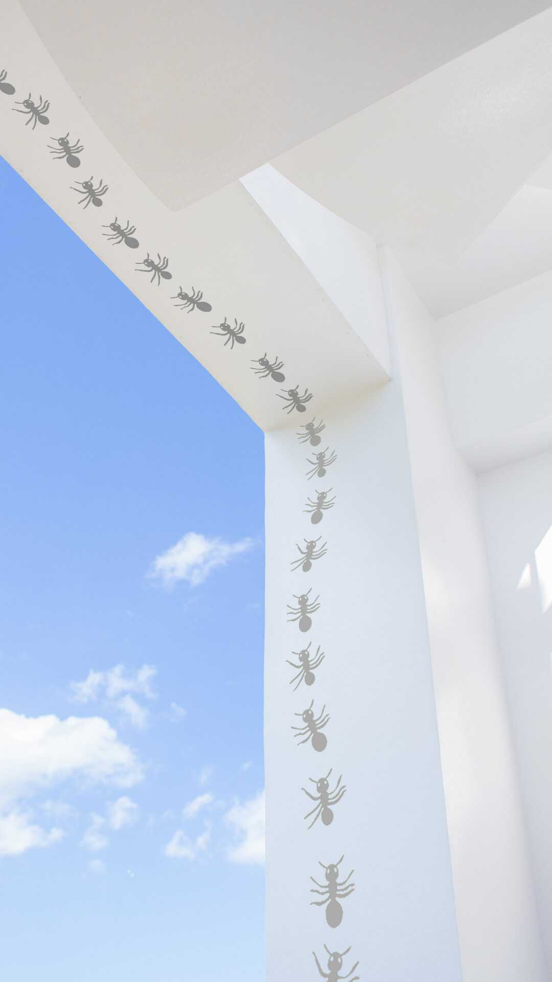 garden decor ants sticker