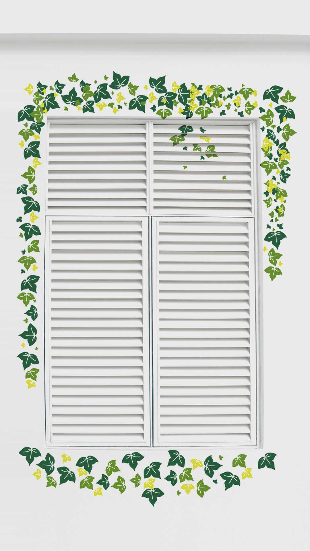 jardin vertical paredes plantas trepadoras