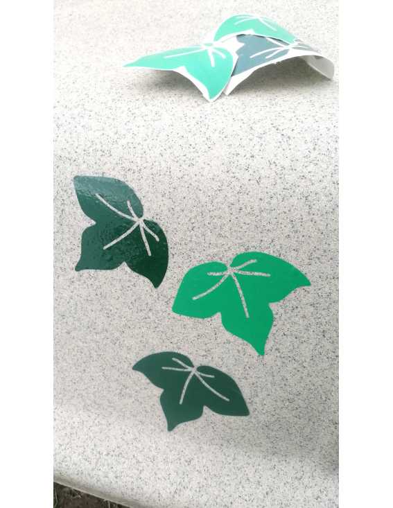 low mainteinance plants