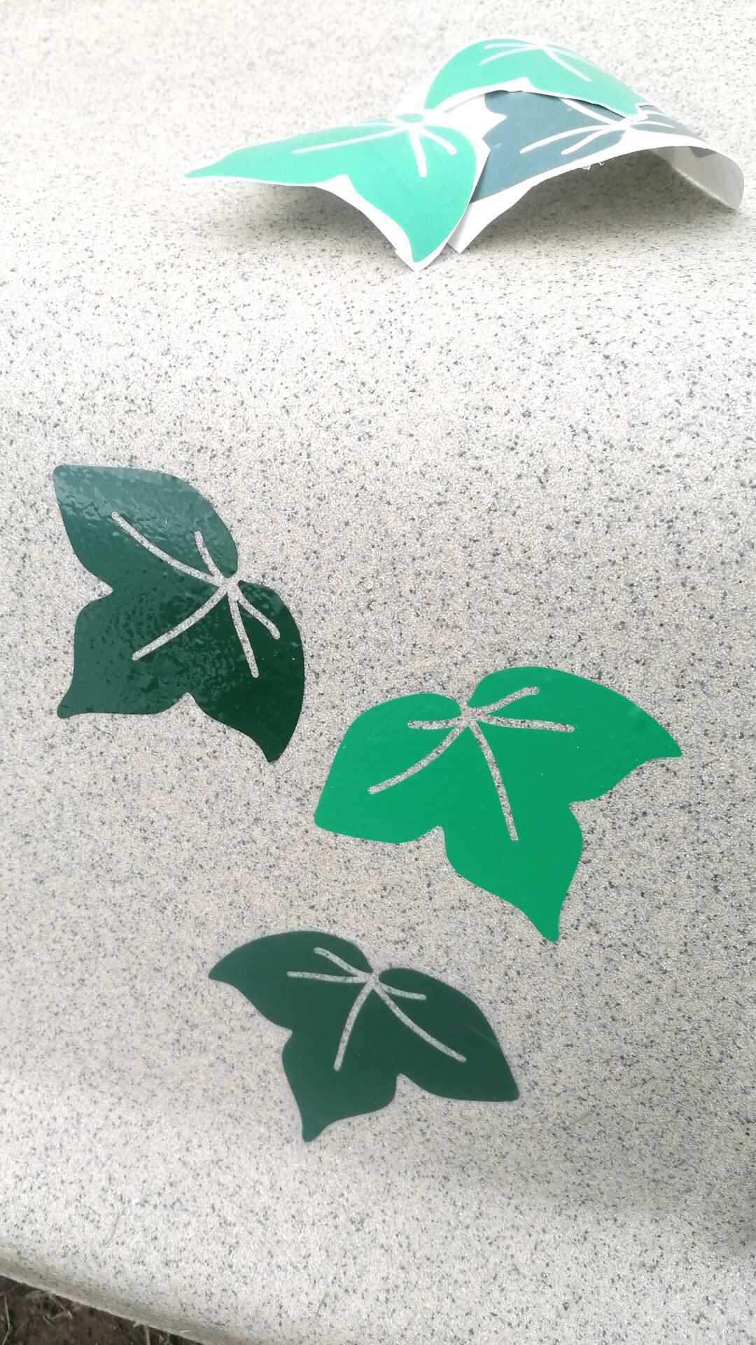 low mainteinance plants