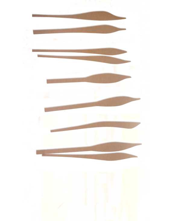 plantas sin flores que no necesitan luz